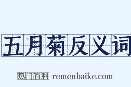 五月菊反义词是什么意思的图片